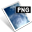 p-logo2
